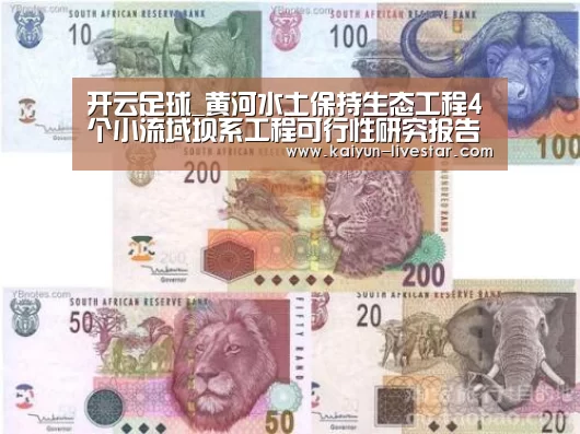 开云赛事