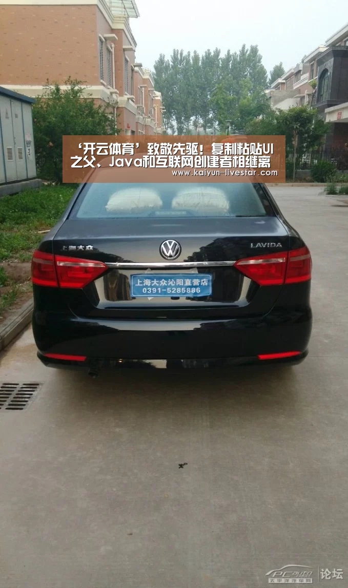开云篮球