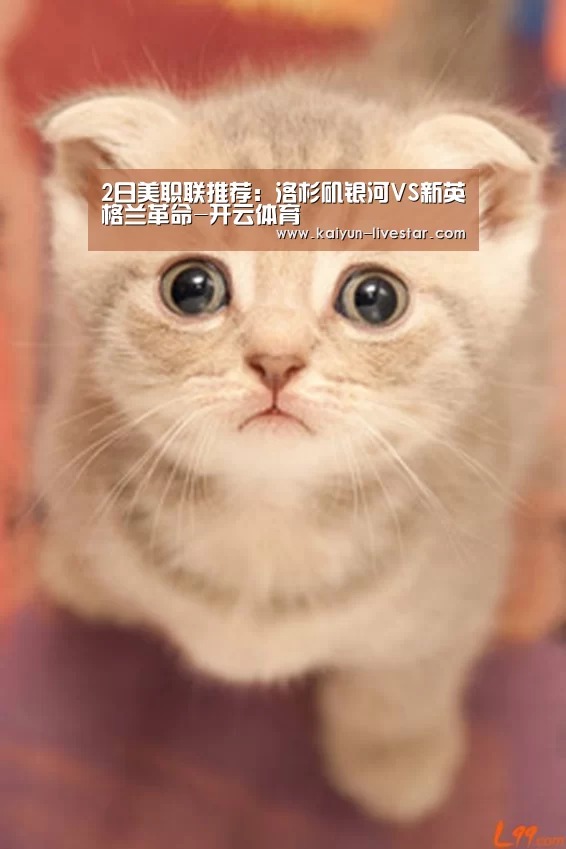2日美职联推荐:洛杉矶银河VS新英格兰革命-开云体育(图2) 开云赛事