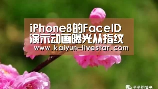 iPhone8的FaceID演示动画曝光从指纹到刷脸:开云体育(图1) 开云赛事