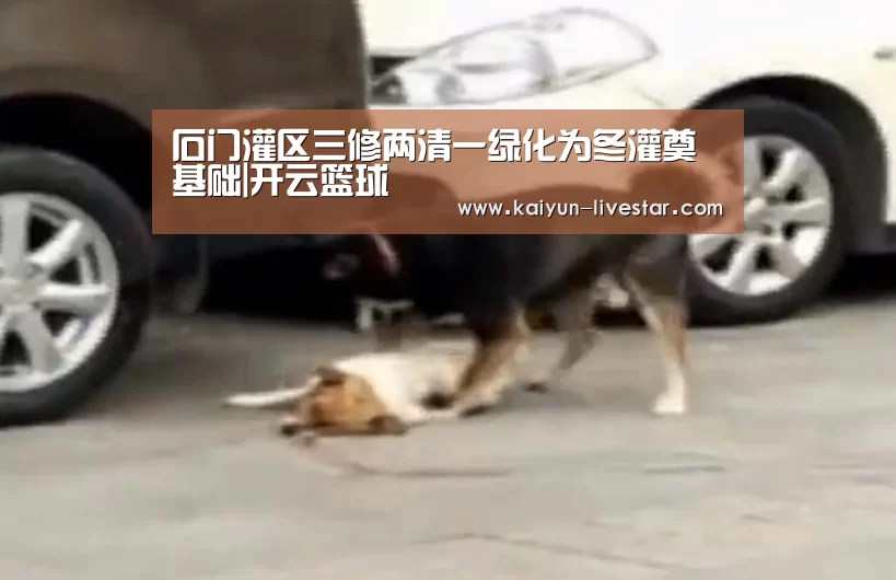 开云足球