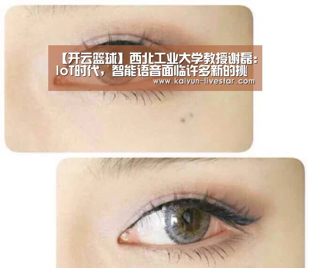 【开云篮球】西北工业大学教授谢磊:IoT时代,智能语音面临许多新的挑战|CCF-GAIR2018(图1) 开云篮球