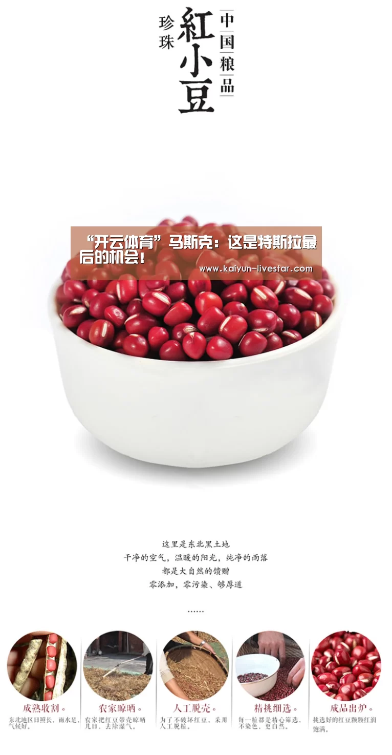 “开云体育”马斯克:这是特斯拉最后的机会!(图2) 开云足球