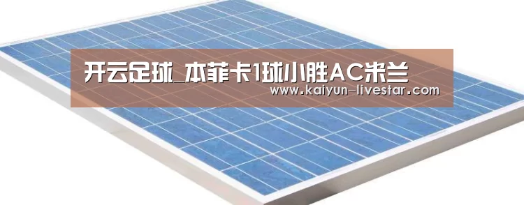 开云足球_本菲卡1球小胜AC米兰(图4) 开云体育
